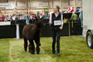 Alpaca Jubilee